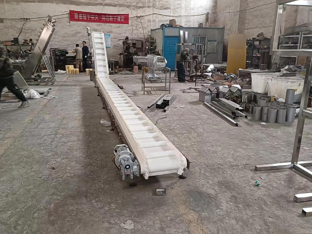 萍鄉(xiāng)Z型裙邊皮帶輸送機